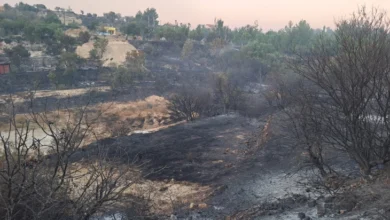 Photo of Американски извештај: Фрлена цигара е причината за пожарот во Лимасол со две жртви