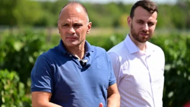 Photo of Филипче: Владата со цинични половина денар за килограм се фали со повисоки откупни цени на грозјето