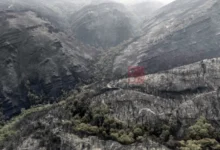 Photo of Шпанија: Најлошата фаза од шумските пожари заврши, следува постојан надзор