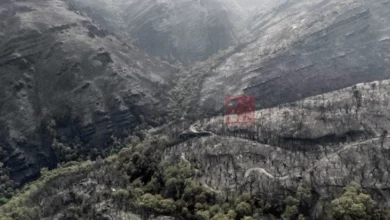 Photo of Шпанија: Најлошата фаза од шумските пожари заврши, следува постојан надзор
