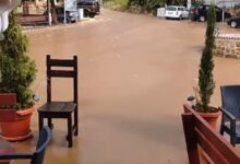 Photo of По сечењето на шумата, Љубојно се поплави – жителите предупредуваа, но никој не ги слушаше