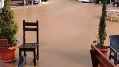 Photo of По сечењето на шумата, Љубојно се поплави – жителите предупредуваа, но никој не ги слушаше