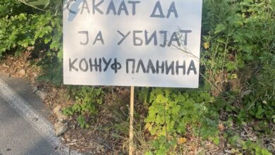 Photo of Левица: Дошница е победа на сплотениот народ, но, борбата не е завршена