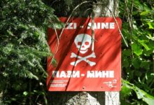 Photo of Трагедија во БиХ: Тинејџер загина додека чувал кози, влегол во минско поле