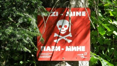 Photo of Трагедија во БиХ: Тинејџер загина додека чувал кози, влегол во минско поле