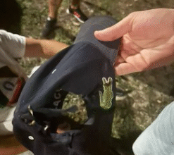Photo of ВИДЕО: Студентите објавија фотографии од повредени колеги и граѓани по синоќешните судири со полицијата пред Филозофскиот факултет во Нови Сад
