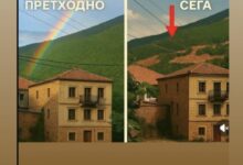 Photo of Полицијата казни учесник во протестот во Љубојно поради попречување на патот: Шести ден од блокадите против масовната сеча