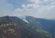 Photo of И утрово активни пожарите во „Јасен“ и во атарот на селата Беловодица и Церово