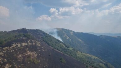 Photo of И утрово активни пожарите во „Јасен“ и во атарот на селата Беловодица и Церово