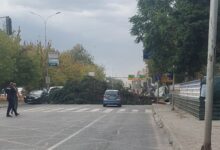 Photo of ДРВО ПАДНА ВО КАПИШТЕЦ, ИСКРИ ОД ЖИЦИ ПРЕДИЗВИКУВААТ ПОЖАРИ Силно невреме го сардиса Скопје