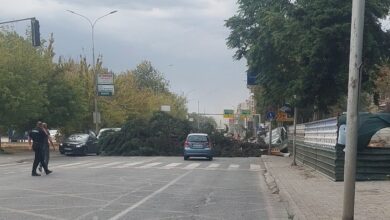 Photo of ДРВО ПАДНА ВО КАПИШТЕЦ, ИСКРИ ОД ЖИЦИ ПРЕДИЗВИКУВААТ ПОЖАРИ Силно невреме го сардиса Скопје