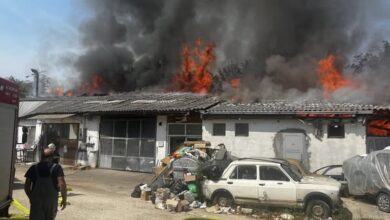 Photo of (Видео) Горат азбестни плочи: Просториите на Макотекс биле изнајмувани на работилници за какви немало соодветни услови за работа?