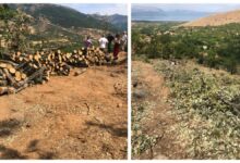Photo of Задоцнета реакција: Стручни тимови ќе го испитуваат земјиштето над Љубојно откако се направи масовна сеча на планината