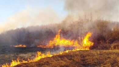 Photo of Гори Националниот парк Јасен – два активни и 17 изгаснати пожари на територија на Македонија
