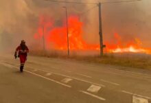 Photo of Тројца загинати во пожарите во Шпанија, масовни евакуации низ земјата