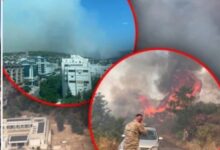 Photo of Видео: Пожарите во Црна Гора голтаат куќи, огнот стигна до плажите, Владата бара помош