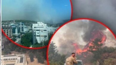 Photo of Видео: Пожарите во Црна Гора голтаат куќи, огнот стигна до плажите, Владата бара помош