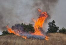 Photo of Приведени двајца пиромани во Куманово и Тетово за предизвикување на пожар