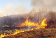 Photo of Лишен од слобода 19-годишник во Тетово поради предизвикување пожар