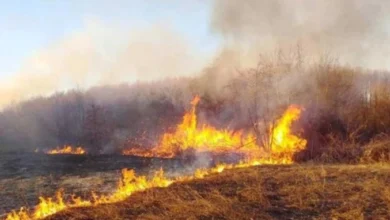 Photo of Лишен од слобода 19-годишник во Тетово поради предизвикување пожар