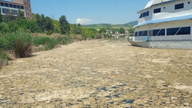 Photo of Никој да не се бања во Велешкото Езеро – во водата има 50 пати повеќе амонијак од дозволеното