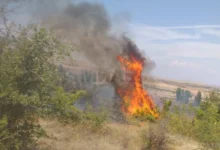 Photo of ЦУК: Побарано воздушно дејствување врз пожарот во Липковско на страната од Скопска Црна Гора, сите летала ангажирани на пожарот во Беровско