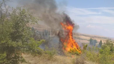 Photo of ЦУК: Побарано воздушно дејствување врз пожарот во Липковско на страната од Скопска Црна Гора, сите летала ангажирани на пожарот во Беровско