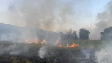 Photo of ЦУК: Активни шест пожари на отворено, еден е под контрола, а изгаснати се 21 пожари