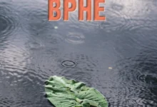 Photo of „Врне ли, врне“ – нова книга на Ристо Лазаров во издание на „Матица македонска“