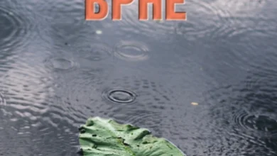 Photo of „Врне ли, врне“ – нова книга на Ристо Лазаров во издание на „Матица македонска“