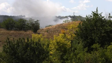 Photo of ЦУК: Под контрола пожарот во депонијата Дрисла, активни пожари во Кочани и Тетово