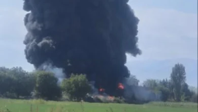 Photo of ВИДЕО: Пожар во фабрика во Трубарево, го гасат повеќе екипи, пожарникарите интервенирале и во Лисиче