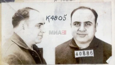 Photo of Како Ал Капоне вовел рок на траење на млекото во Чикаго?