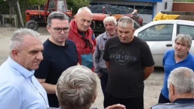 Photo of СДСМ: Грозјето скапува на нивите – лозарите се повторно изневерени