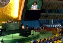 Photo of Сиљановска – Давкова во ОН: Сакаме да се интегрираме во ЕУ, но без дополнителни услови и со зачувано национално достоинство