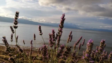 Photo of Променливо облачно и посвежо со повремени врнежи од дожд