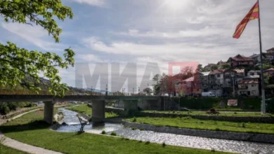 Photo of Најмногу врнежи во Крива Паланка
