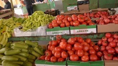 Photo of Алиу: Немам информација дека овошјето и зеленчукот од Трубарево не треба да се јадат