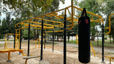 Photo of Центарци добија современа теретана на отворено во „Паркот на франкофонија
