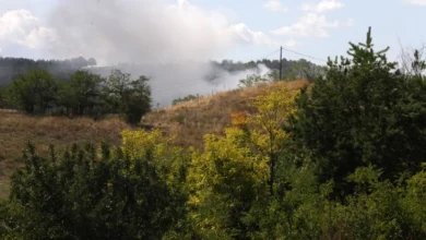 Photo of ЦУК: Под контрола се пожарите во селото Трубарево и во Дрисла, активни пожарите во селата Виниче, Петрово, Вражале и Крушево