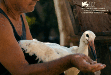 Photo of Македонски филм првпат на National Geographic: “Приказната за Силјан” на Тамара Котевска го откупи светски познатата тв мрежа