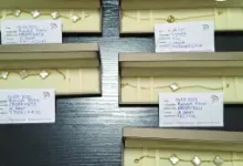 Photo of Царинска управа: На ГП Стење фатен патник со златен накит вреден 346 илјади денари