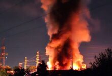 Photo of Пожарот во Пинтија бил изгаснат со осум противпожарни возила