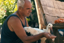 Photo of „СИЛЈАН” во режија на Тамара Котевска е годинашниот македонски кандидат за „Оскар”