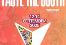 Photo of Од 12 до 14 септември – третото издание на фестивалот „Вкуси го југот“ (Taste the south) во Гевгелија: Фузија на традицијата, културата и забавата