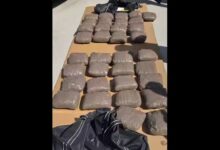 Photo of Прилепчанец фатен со 30 килограми марихуана