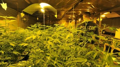 Photo of Германија ја ограничува продажбата на канабис преку интернет