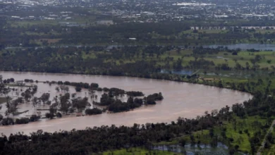 Photo of Река во Австралија полна со крокодили, е прогласена за погодна за ОИ 2032