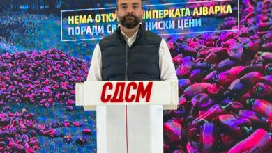 Photo of (ВИДЕО) Димитриевски: Застана откупот на пиперката ајварка поради срамно ниски цени, дебакл на ВМРО-ДПМНЕ