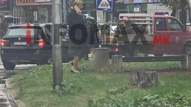 Photo of (Фото) Министерката Јаневска  фотографирана како минува среде улица додека збори на мобилен и oпа цупа низ тревникот